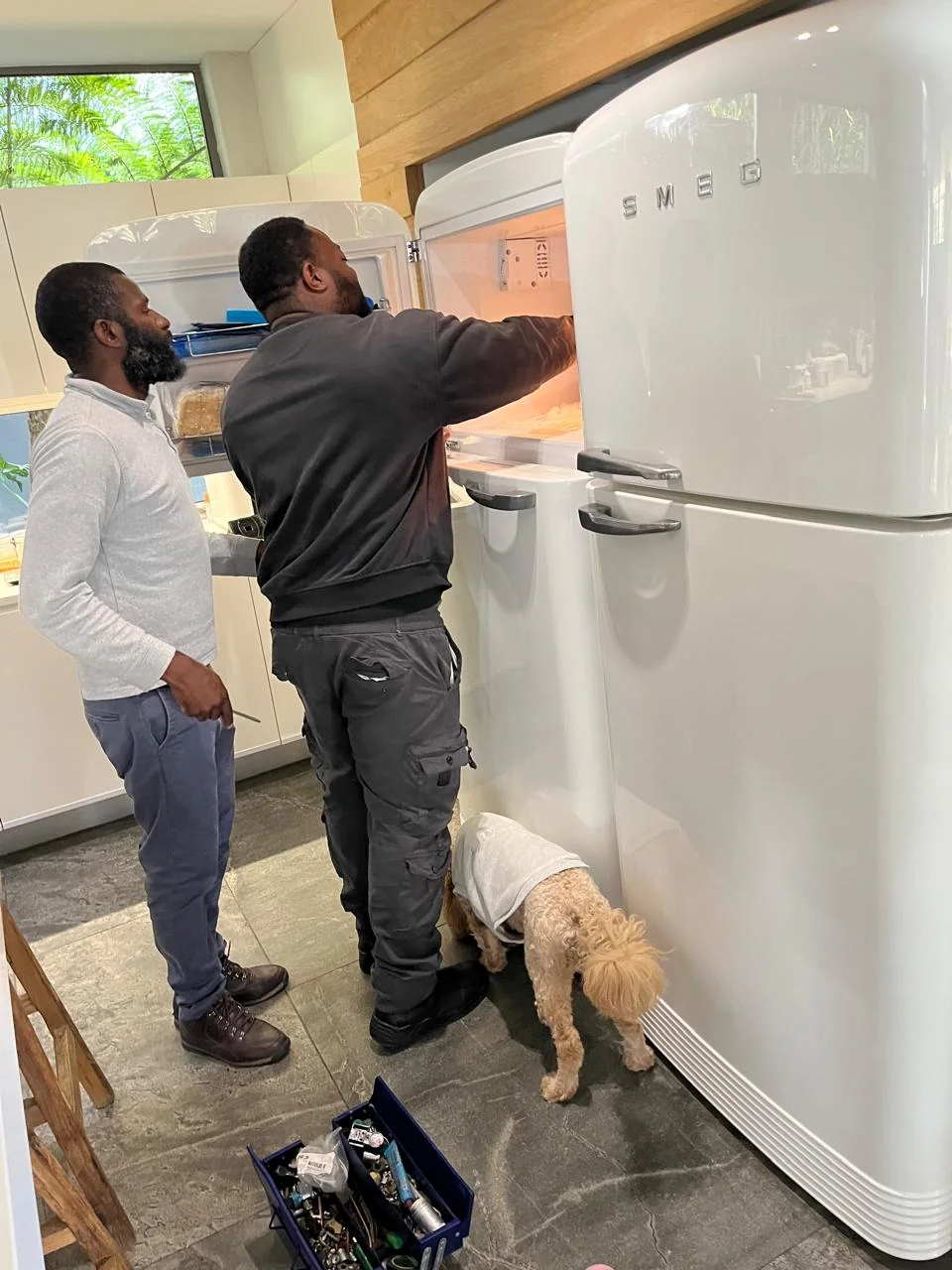 Professional tools used for dishwasher repair and maintenance